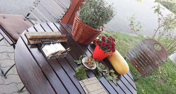 Vila Zoppas Inn Sînnicolau Mare 외부 사진